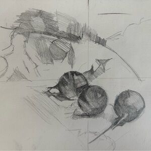 Charcoal Sketch Study of three radishes